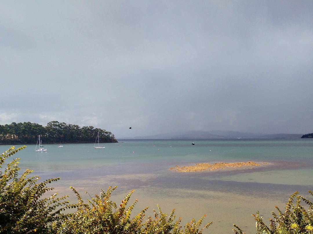 Always beautiful in either rain or shine. Or both at the same time #Tasmania #woodbridge #coastal #beautiful