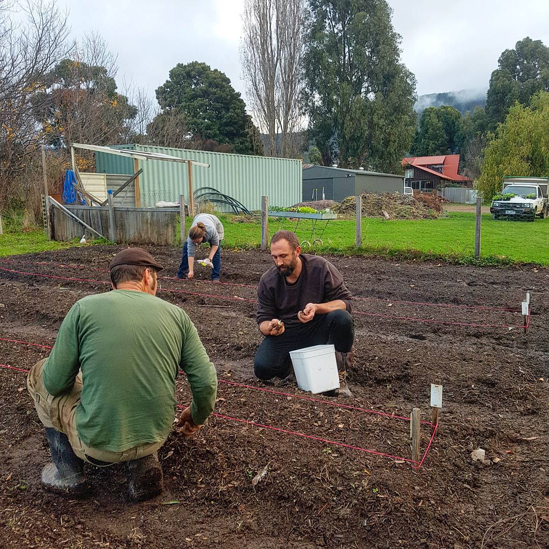 Planting is underway at the Peppermint Bay veggie garden! 
Photo: @_tomsandy #tasmania #australia #peppermintbay #veggies #garden #produce #tasfoodie #winter