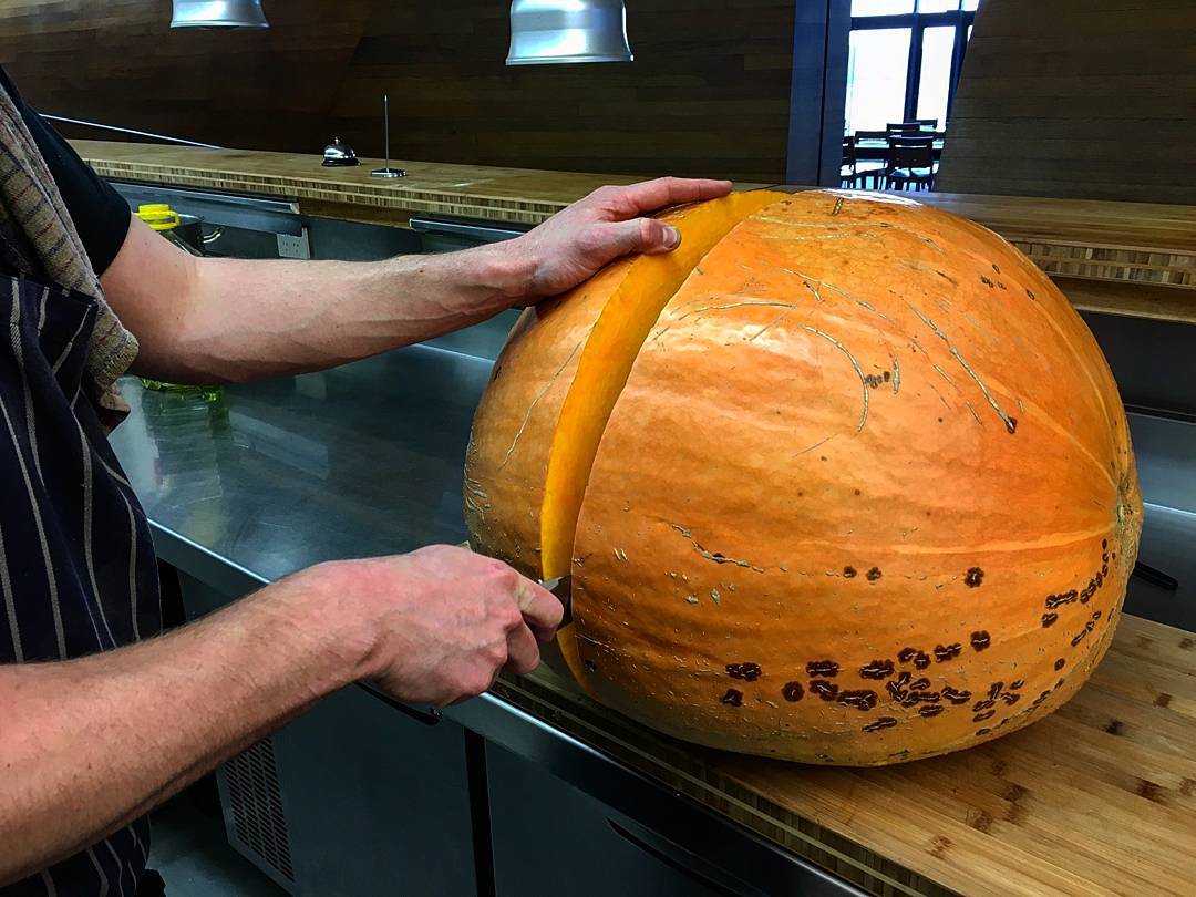 Chef Toby carving up this monster of a pumkin before it was turned into a delicious Roast pumkin, honey and thyme soup! @watyalookinat
?: @tom_byrned 
#pumkin #giant #chef #tasmania #kitchen #woodbridge #peppermintbay