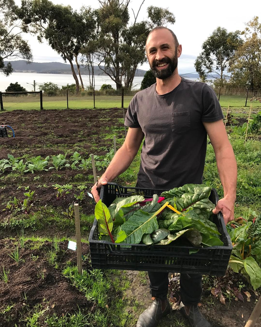 Fresh is best . Chef @toby_annear Veges straight out of our peppermint bay hotel garden