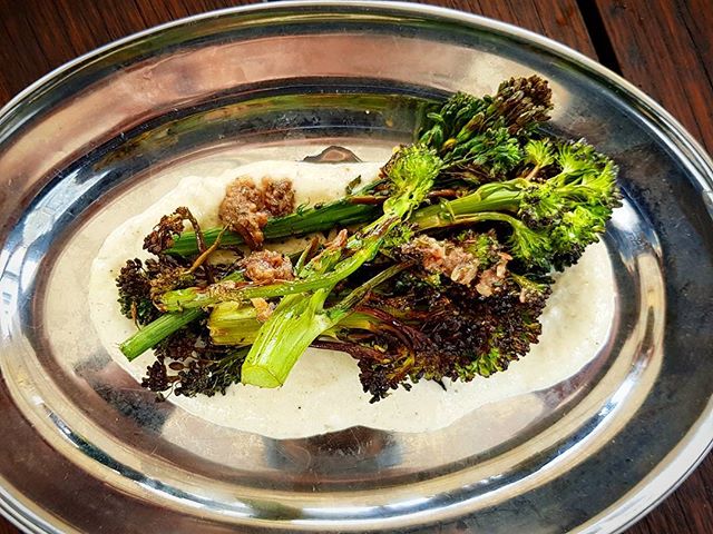 From our new menu: Broccoli from our garden served on a tarator sauce w anchovy dressing #peppermintbayhotel #woodbridge #tasmania #tasfoodie #gourmet #homegrown #fresh #delicious