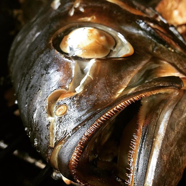 Smoked him…. ? no more blue eyes. #smokedfish #brothonfortheweekend #soup