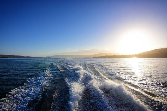 Enjoy the beauty of the d’Entrecasteaux channel from our cruise #peppermintbay #peppermintbayhotel ##peppermintbaycruise #tasmania #brunyisland #boating #cruise #wake