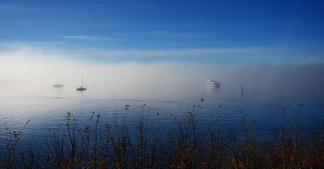 The PBII emerging through the fog over Peppermint Bay today #peppermintbay #peppermintbaycruise #woodbridge #tasmania #instatassie #tasmaniagram #southerntrovetasmania #fog #mist
