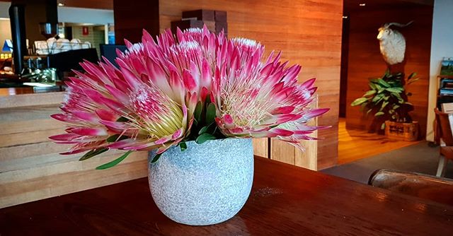 Check out these fantastic Proteas from @lisakingstonflowers #flowers #proteas #woodbridge #peppermintbay #tasmaniagram #localsuppliers