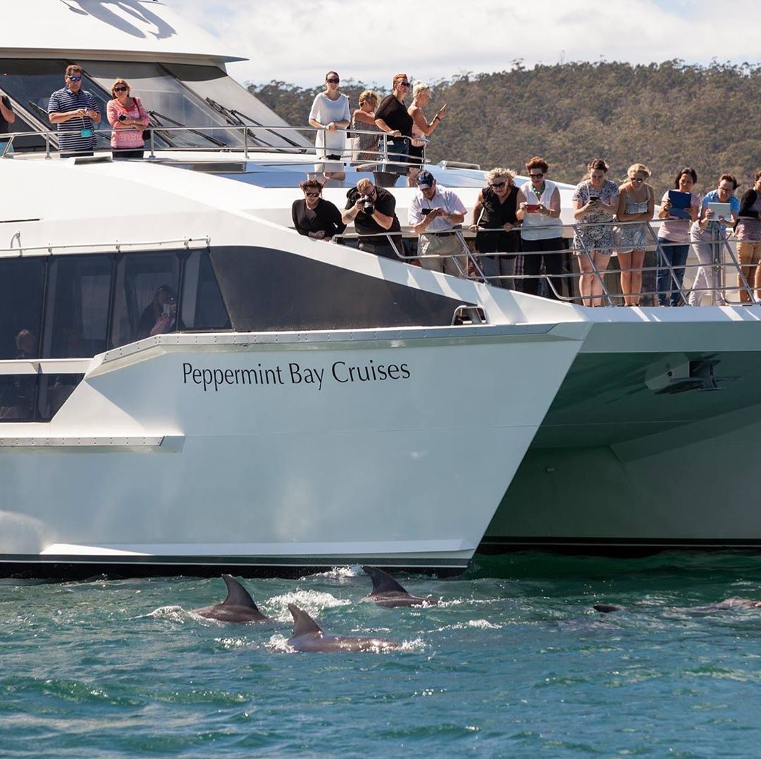 Stunning 13 degrees this Sunday, Peppermint Bay II is back after her winter break. Enjoy our cruise with a perfect lunch at Peppermint Bay Hotel. Depart @brookestreetpier at 11am and back by 3:30pm lunch included $148. Book through link in our bio or 1300  137 919. 
#cruise #peppermintbaycruise #peppermintbay #family #friends #food #wine #marketgarden #lunchwithaview #dentrecasteauxchannel #brunyisland #naturephotography