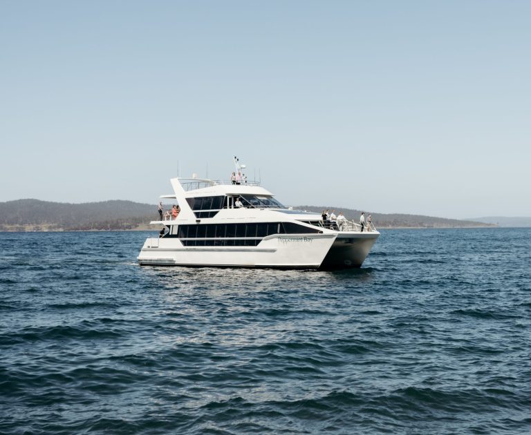 White catamaran cruising on the water