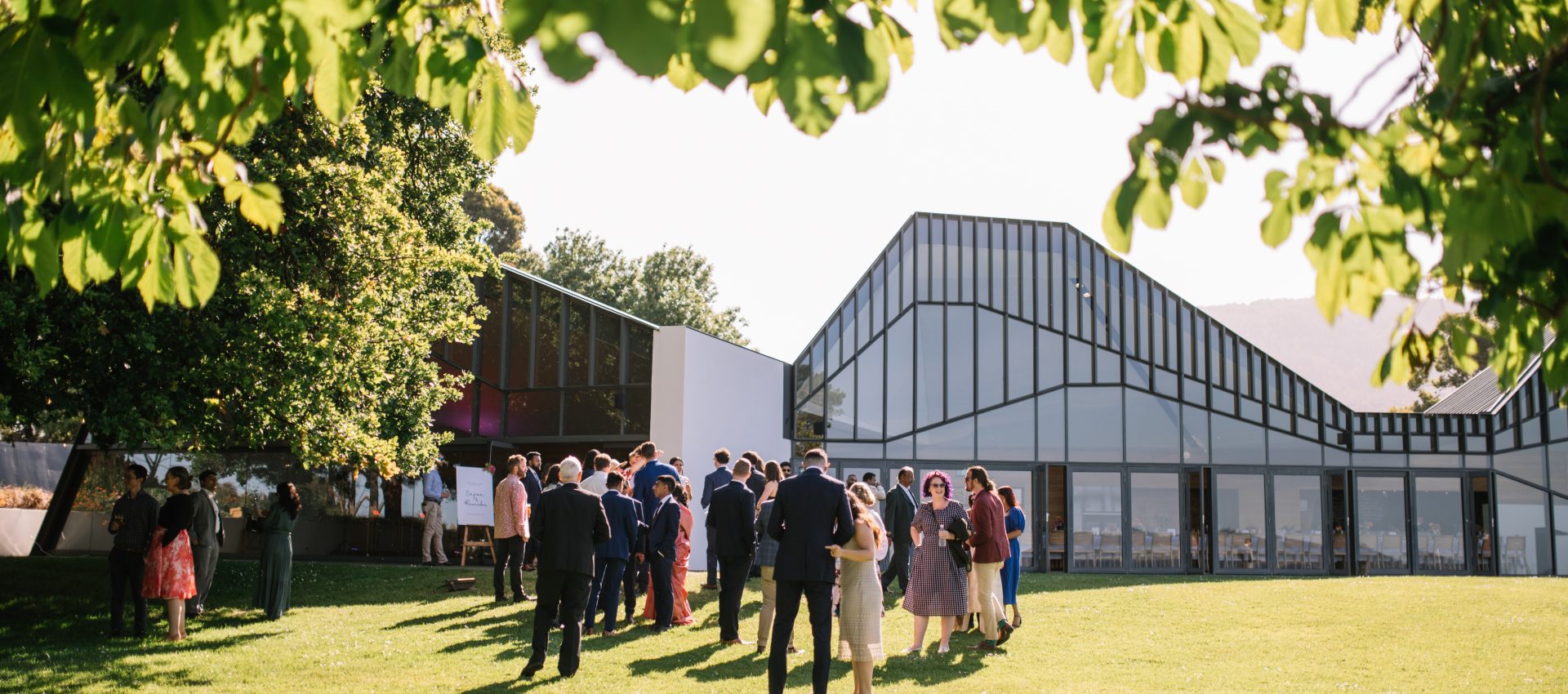 A large group of guests mingling on the lawn