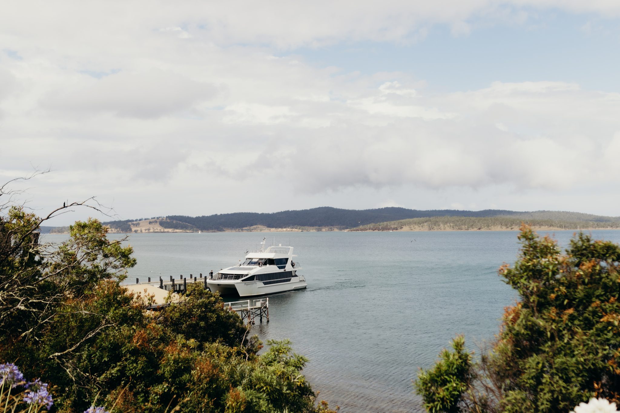 White catamaran docked at jetty